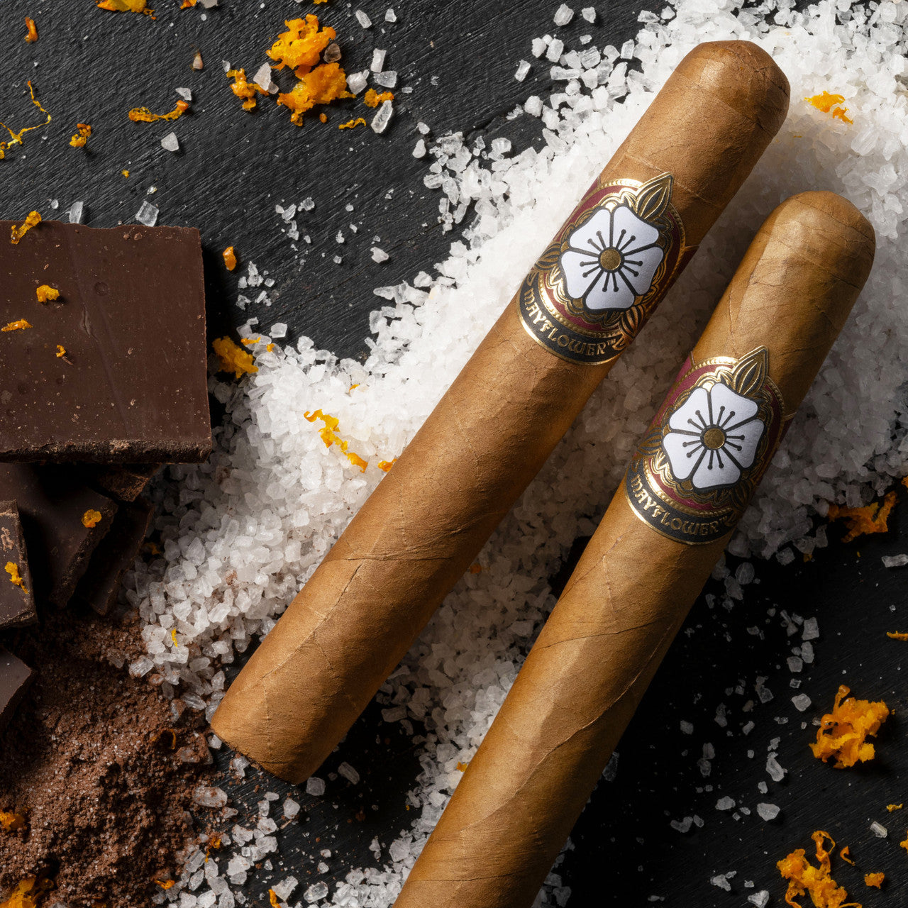 The Reunion Sampler: Chesterton & Co. x Mayflower Cigars 4 Pack