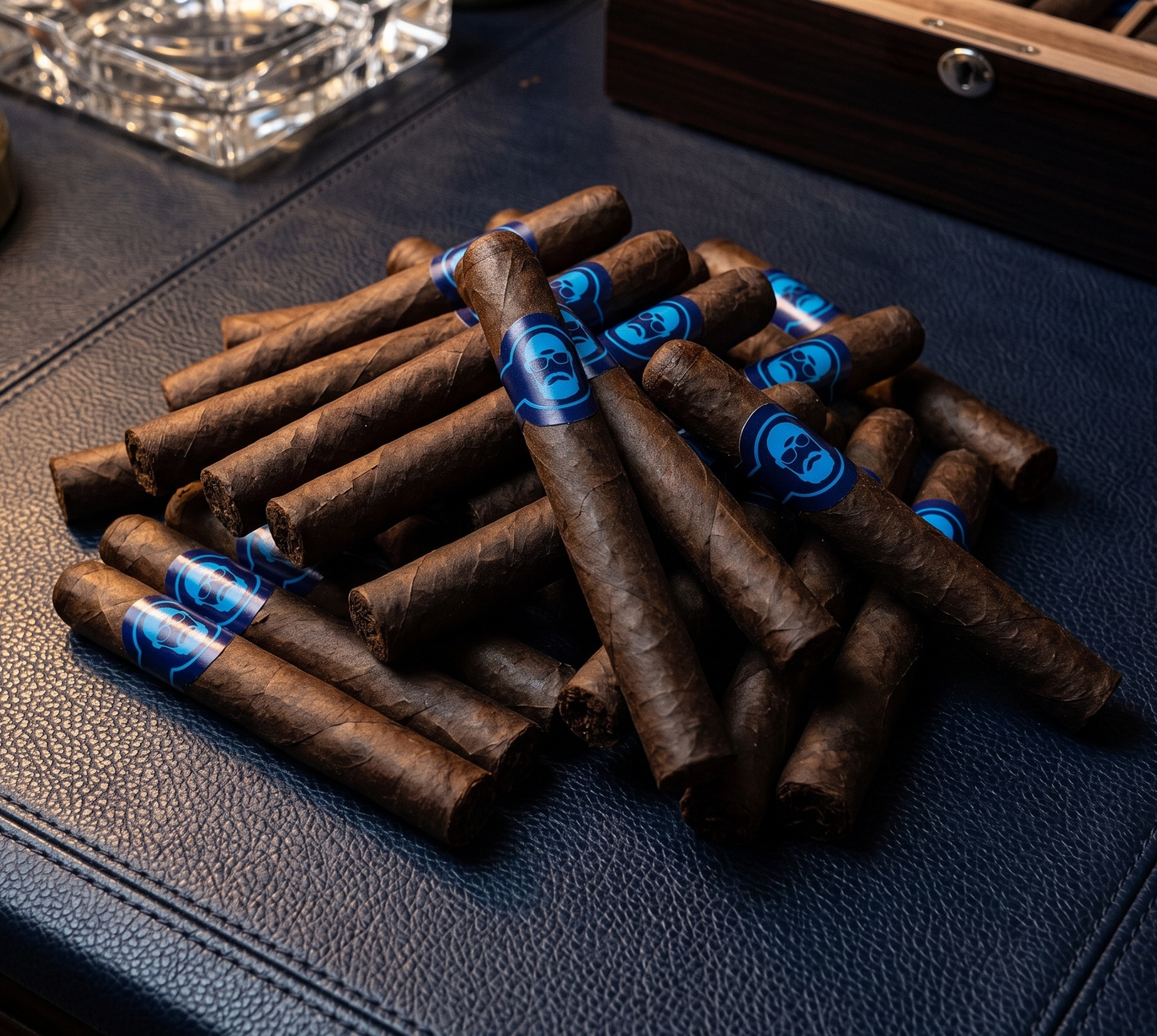 BeardedBlevins Toro