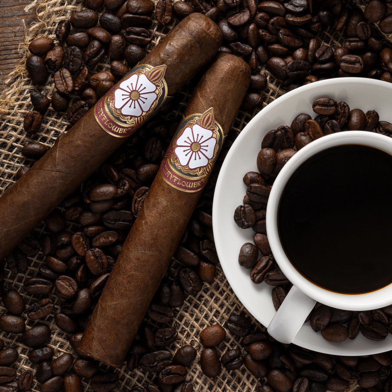 The Reunion Sampler: Chesterton & Co. x Mayflower Cigars 4 Pack